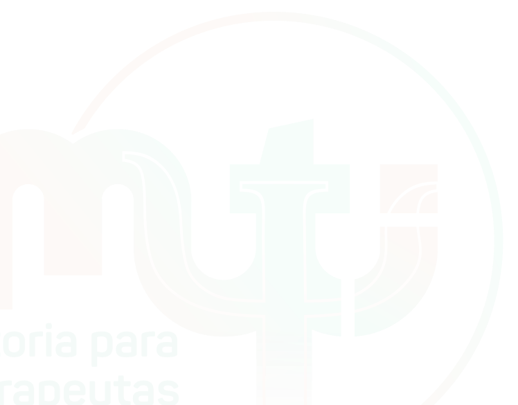 mti logo detalhe form